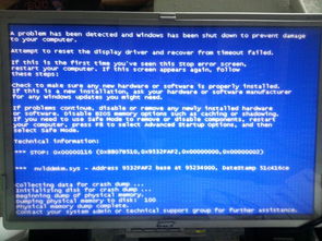 电脑蓝屏后显卡识别异常？鲁大师可识别但Windows提示已停止且设备管理器代码43的故障排查与解决
